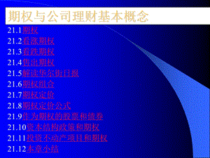 期權(quán)與公司理財基本概念-wenkub.com