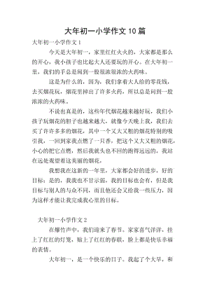 大年初一小學(xué)作文10篇(存儲(chǔ)版)