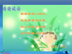北師大版四年級語文上冊落花生課件-閱讀頁