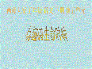 2018西師大版語(yǔ)文五年級(jí)下冊(cè)第17課《有趣的生命時(shí)鐘》ppt課件(更新版)