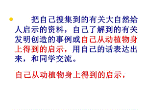 人教版語文四年級下冊第三單元作文指導(dǎo)我發(fā)現(xiàn)……課件(存儲(chǔ)版)