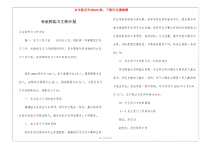 專業(yè)的實習工作計劃(存儲版)