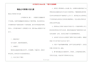 精選公司銷售計劃九篇-閱讀頁
