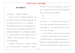 初中打架保證書(存儲(chǔ)版)