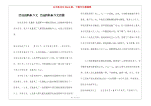 團結的螞蟻作文-團結的螞蟻作文四篇-文庫吧資料