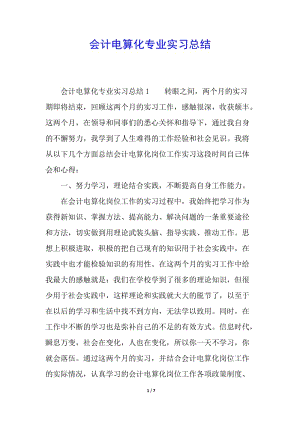 會(huì)計(jì)電算化專業(yè)實(shí)習(xí)總結(jié)(文件)