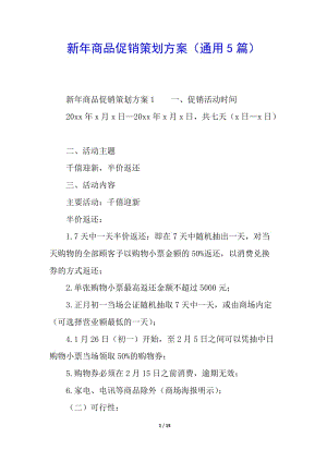 新年商品促銷策劃方案(通用5篇)-資料下載頁