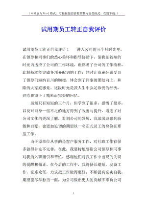 試用期員工轉正自我評價(存儲版)