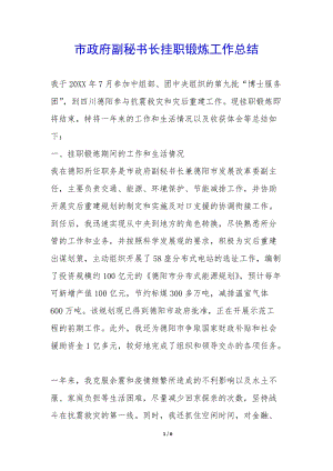 市政府副秘書長掛職鍛煉工作總結(jié)-(已改無錯(cuò)字)
