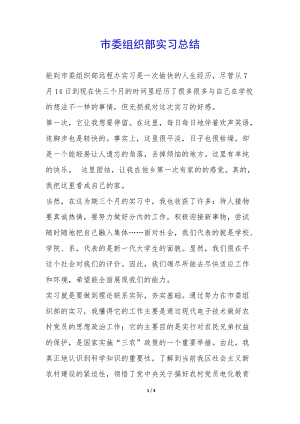 市委組織部實習總結-(已修改)