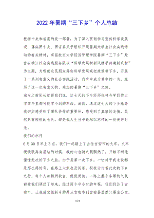 2022年暑期“三下鄉(xiāng)”個人總結(jié)--預覽頁