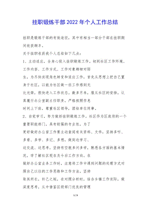 掛職鍛煉干部2022年個(gè)人工作總結(jié)--免費(fèi)閱讀