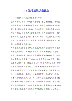 人才洼地建設(shè)調(diào)查報(bào)告-(編輯修改稿)