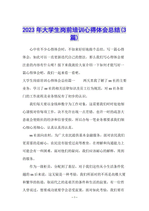 2023年大學(xué)生崗前培訓(xùn)心得體會總結(jié)(3篇)-wenkub