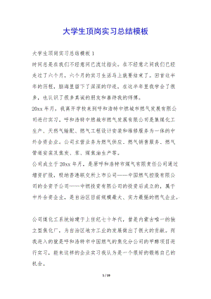 大學(xué)生頂崗實習(xí)總結(jié)模板-(文件)