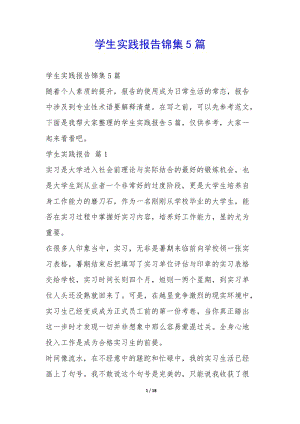 學(xué)生實(shí)踐報(bào)告錦集5篇-(編輯修改稿)