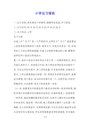 小學(xué)見習(xí)報(bào)告-(已修改)