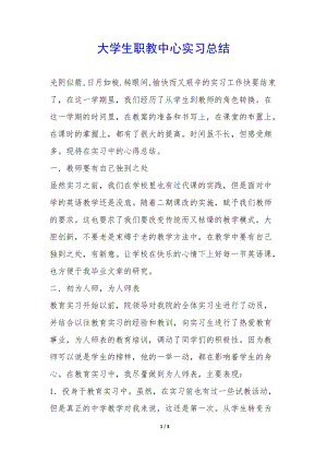 大學生職教中心實習總結(jié)-(文件)