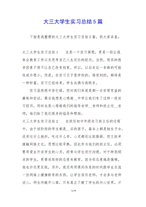 大三大學(xué)生實(shí)習(xí)總結(jié)5篇(已改無(wú)錯(cuò)字)