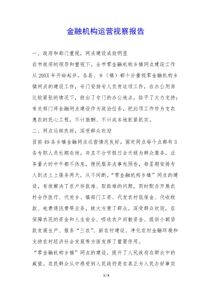 金融機(jī)構(gòu)運(yùn)營視察報告--預(yù)覽頁