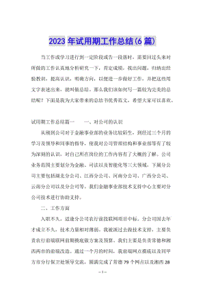 2023年試用期工作總結(jié)(6篇)(文件)