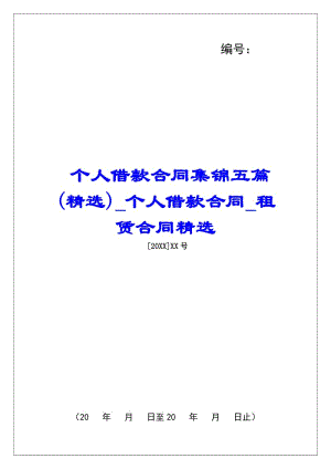 個人借款合同集錦五篇(精選)個人借款合同租賃合同精選-文庫吧