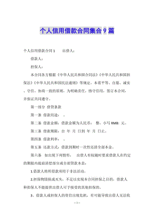 個(gè)人信用借款合同集合9篇(編輯修改稿)