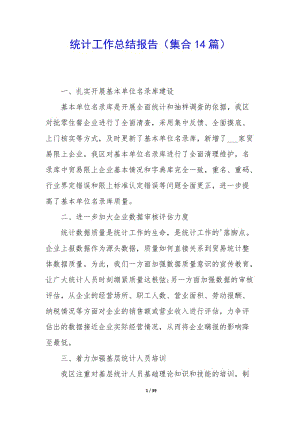 統(tǒng)計工作總結(jié)報告(集合14篇)(參考版)