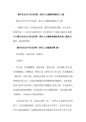 遵守安全生產(chǎn)法當(dāng)好第一責(zé)任人主題演講稿范文三篇-wenkub