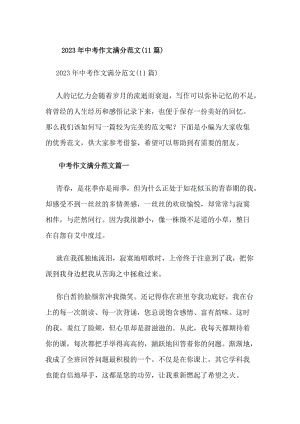 20xx年中考作文滿分范文(11篇)(專業(yè)版)